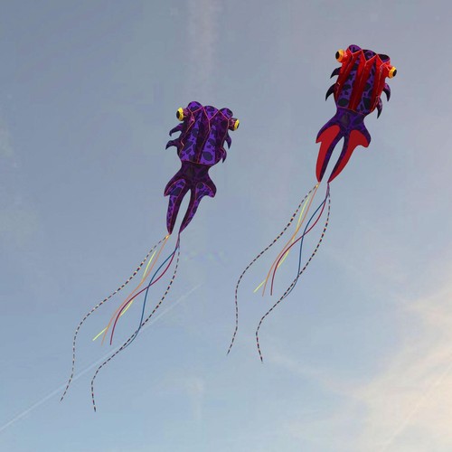 Fish large kite flying - large,