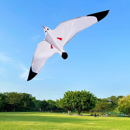 Seagull kite beach - kite, easy