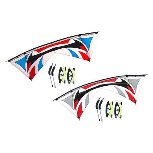 Quad line sport kite - quad, flying