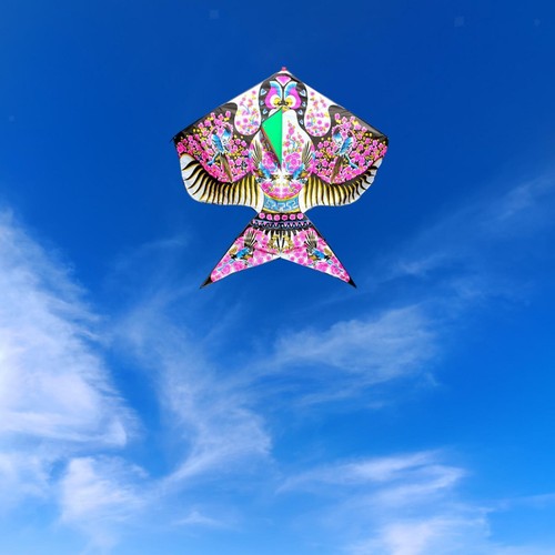 Huge kite classic pattern - kite,