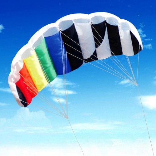 Dual line stunt kite - dual,