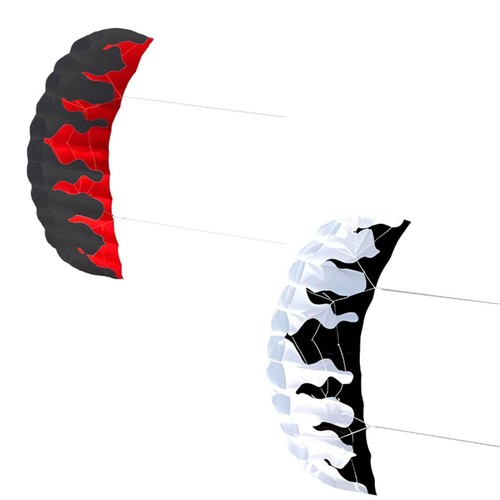 Parafoil kite two line - kite,