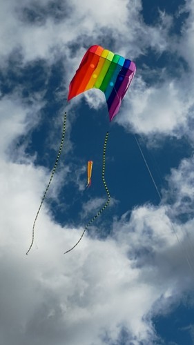 Flow form rainbow lifter - form,