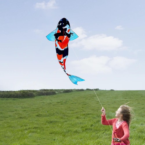 Large koi fish kite - kite,