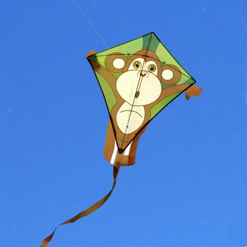 Phoenix single line kites easy - phoenix,