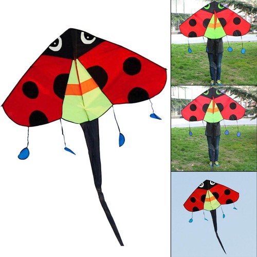Fly kite huge wingspan - fly,