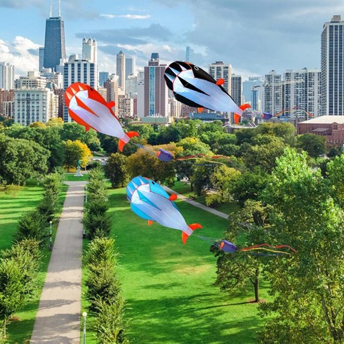 Dolphin kite gift - dolphin,