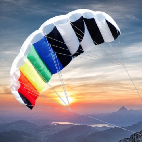 Dual line stunt kite - dual,