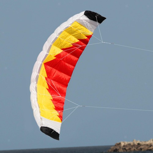 Large kite double line - kite,