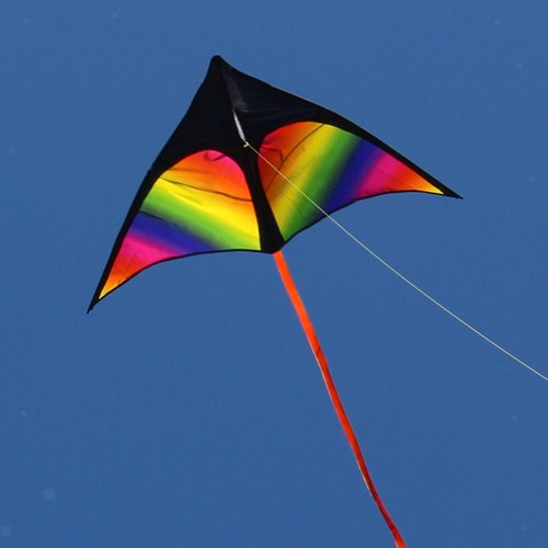 Large delta kite - kite, fly