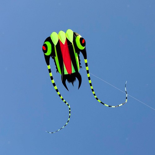 Trilobite kite line - 98, ft