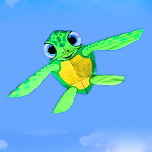 Tortoise shaped kite - tortoise,