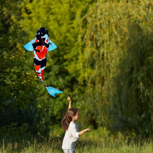 Large koi fish - large, creative