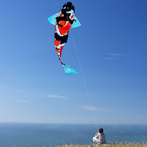 Large koi fish - kite, lucky