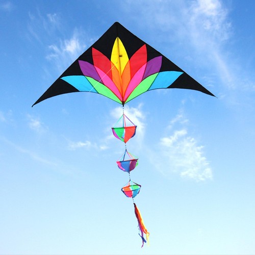 Large delta beach kite - beach,