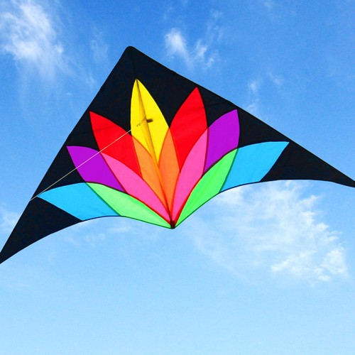 Giant delta kite bird colorful - giant,