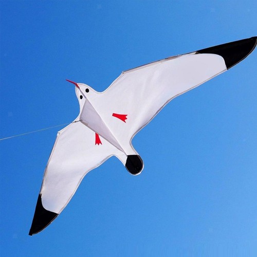 Seagull kite single line - kite,