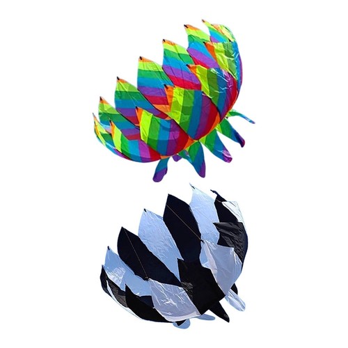 Beach kite soft - kite, large