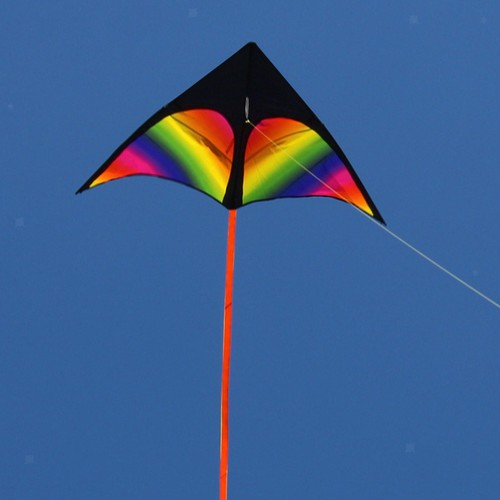 Giant delta kite fly - giant, huge
