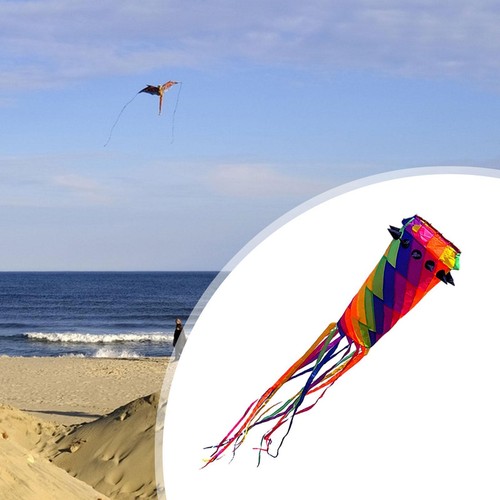Large kite long tail - long,