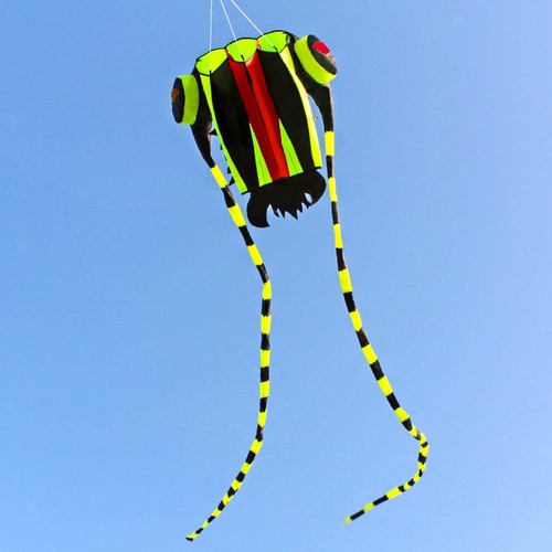 Trilobite kite easy fly - trilobite,