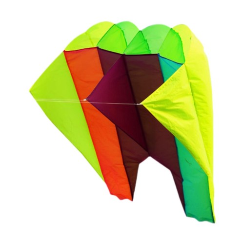 Fly kite large shorts - kite,