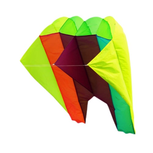 Fly kite large - shorts,