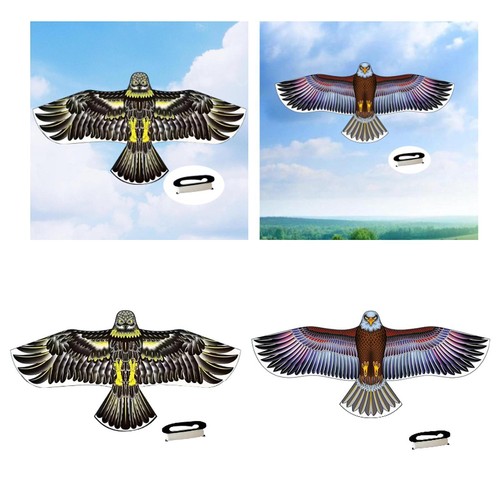 Huge eagle shape kite - huge, with