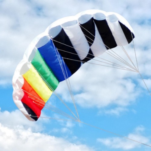 Dual line stunt kite - stunt,