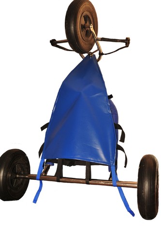 Peter lynn kite - kite, buggy